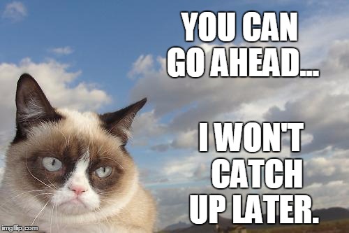 grumpy cat non journey