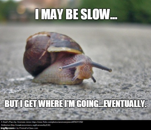 slow snail meme_2